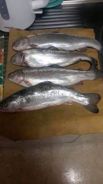 img20170602wa0010.jpg