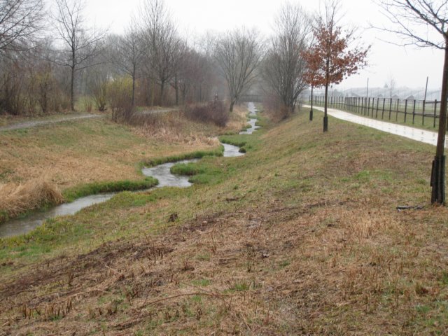 forel04.jpg