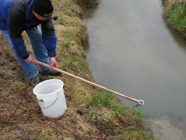 forel13.jpg