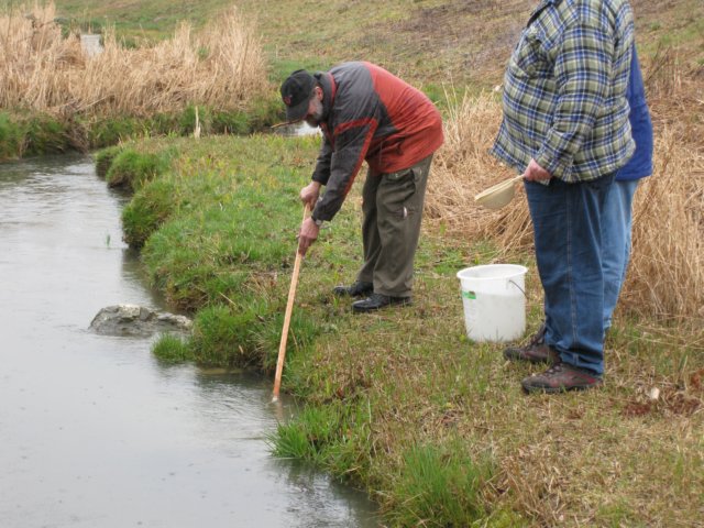 forel20.jpg
