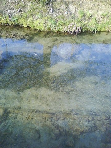 dsc00145.jpg