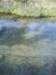 dsc00145_small.jpg