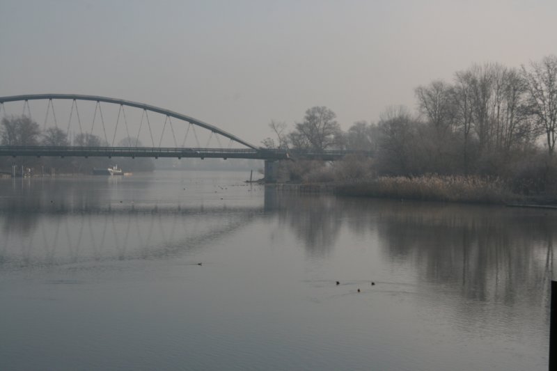 _1671.jpg