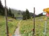 dsc01108_small.jpg