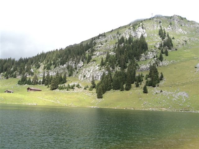 dsc01110.jpg