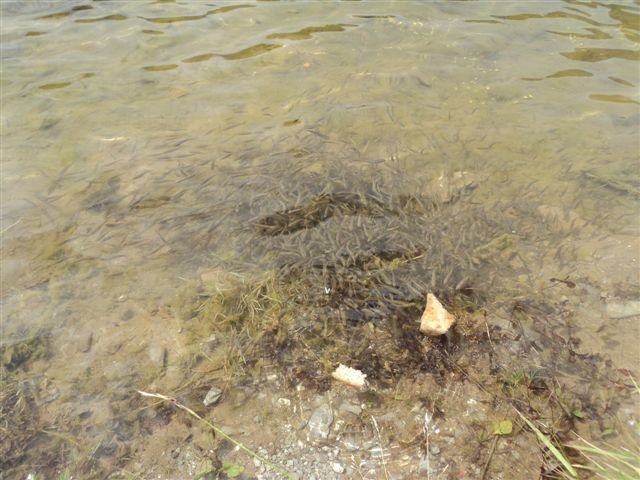 dsc01116.jpg