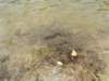 dsc01116_small.jpg